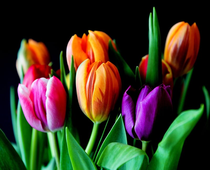 Colorful Floral Bouquet